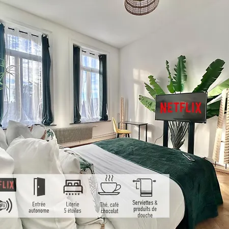 Monaco Style Jungle - 01